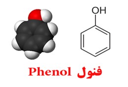 فنول خوراکی